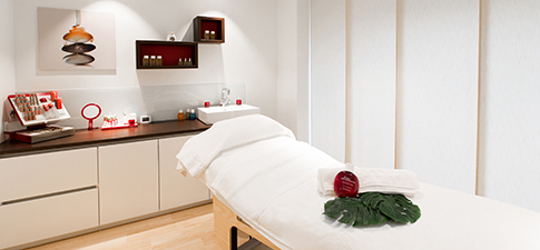 CLARINS SKIN SPA
